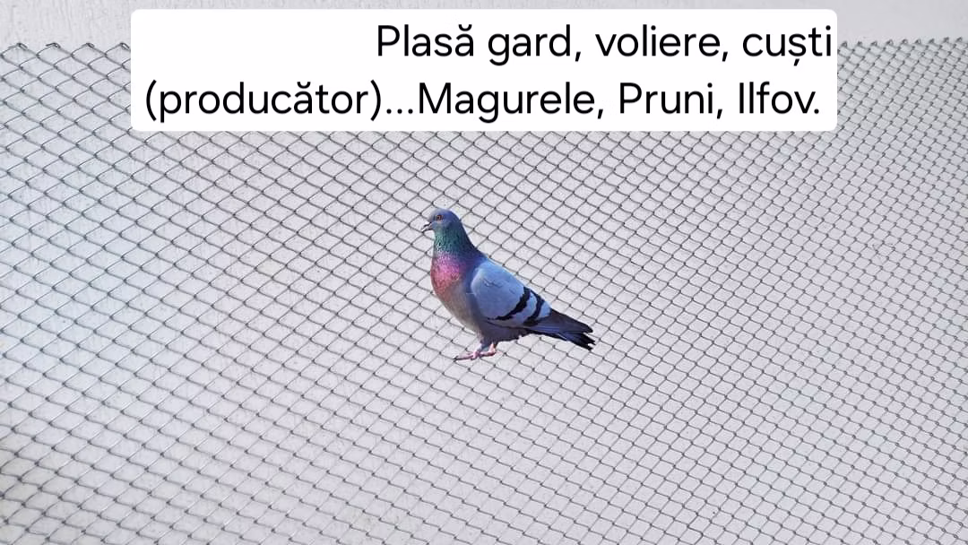 Gard din plasă sârmă galvanizată